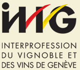Logo IVVG